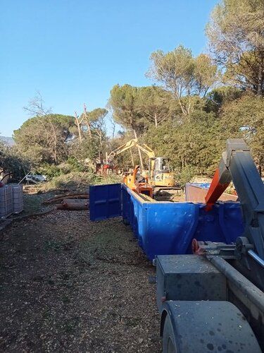 Chantier d’élagage : branches broyées et bennes
